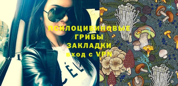 герыч Пестово